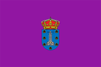 Website design A Coruña province flag