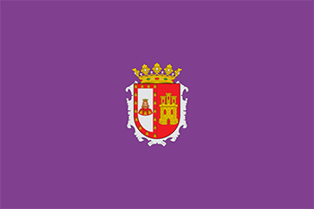 Website design Burgos province flag