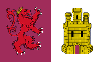 Website design Cáceres province flag