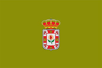 Website design Granada province flag