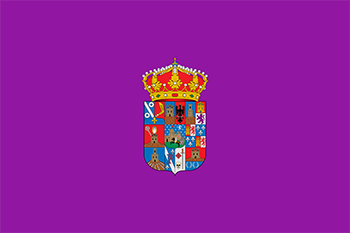 Website design Guadalajara province flag