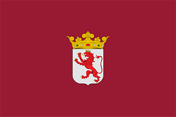 Website design León province flag