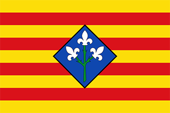 Website design Lleida province flag