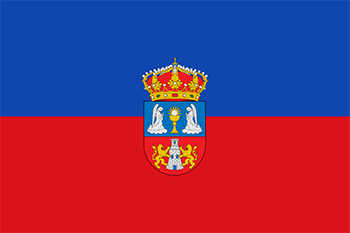 Website design Lugo province flag
