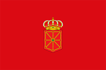 Website design Navarra province flag