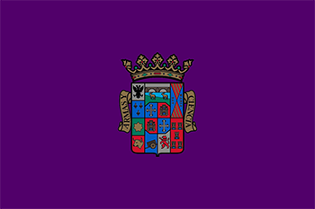 Website design Palencia province flag
