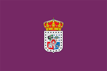 Website design Soria province flag