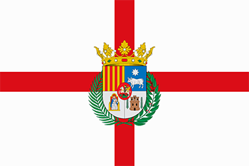 Website design Teruel province flag