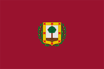 Website design Vizcaya province flag
